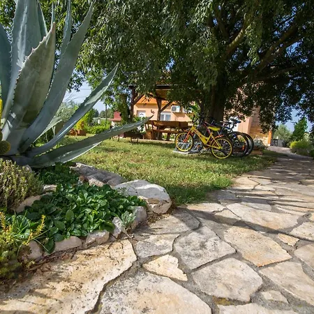 Studio Petra Apartman Biograd na Moru